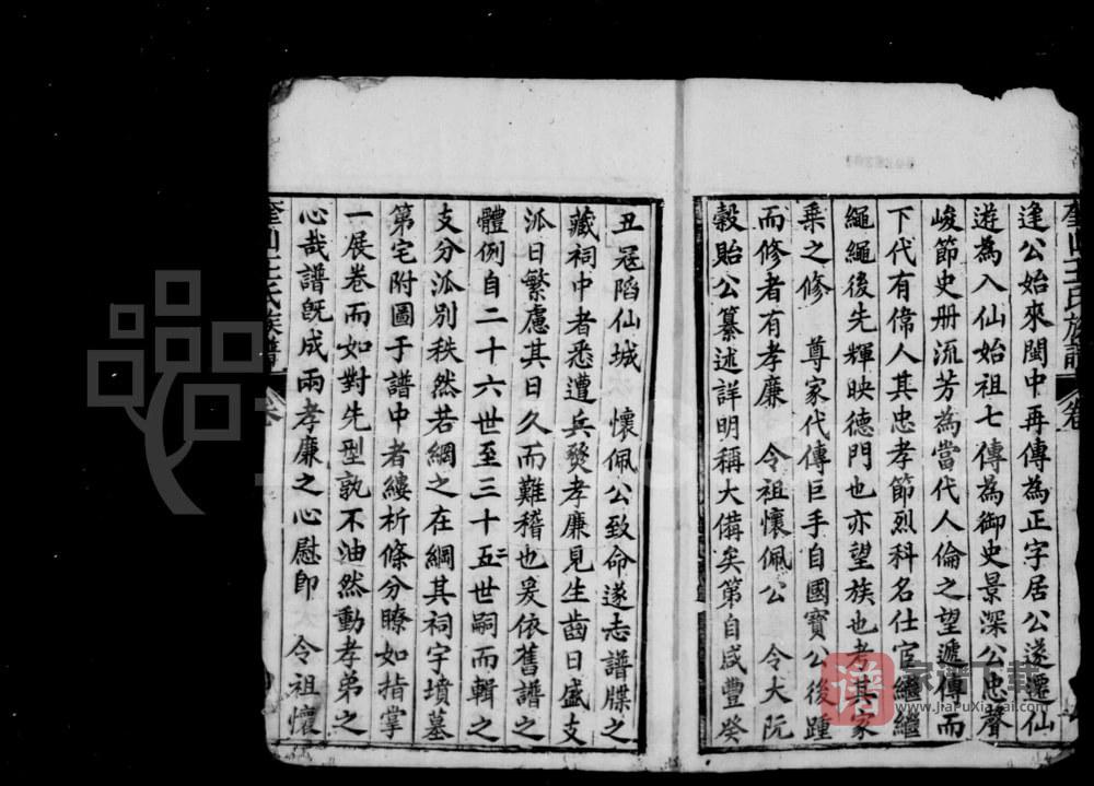 图片[2]-福建莆田仙游县奎山王氏族谱PDF高清电子版下载-家谱下载