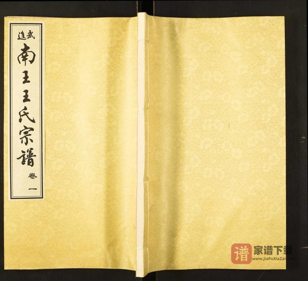 江苏常州武进区南王王氏宗谱（三槐堂）PDF高清电子版下载
