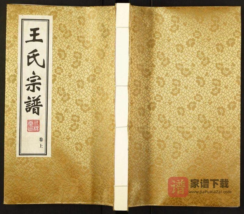 江苏武进泰州宜兴王氏宗谱（三槐堂）PDF高清电子版下载-家谱下载