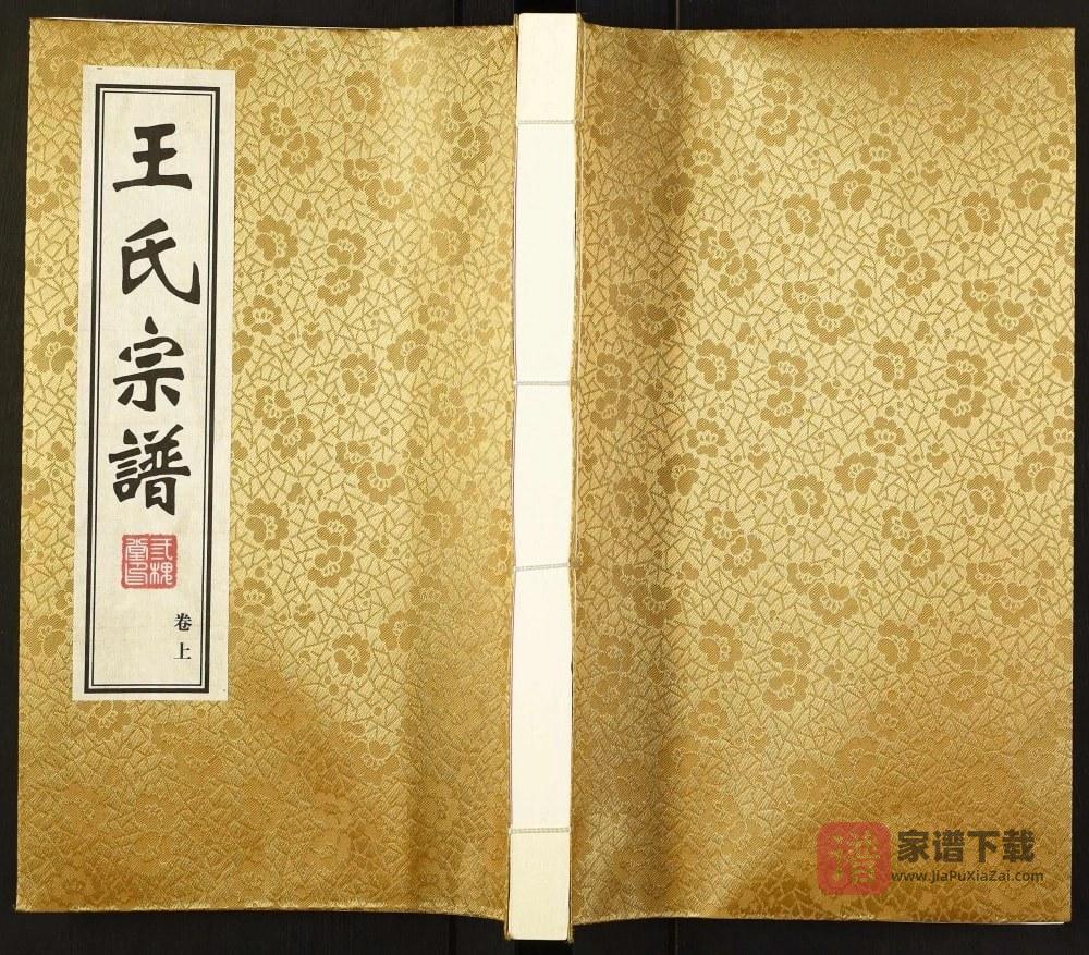 江苏武进泰州宜兴王氏宗谱（三槐堂）PDF高清电子版下载