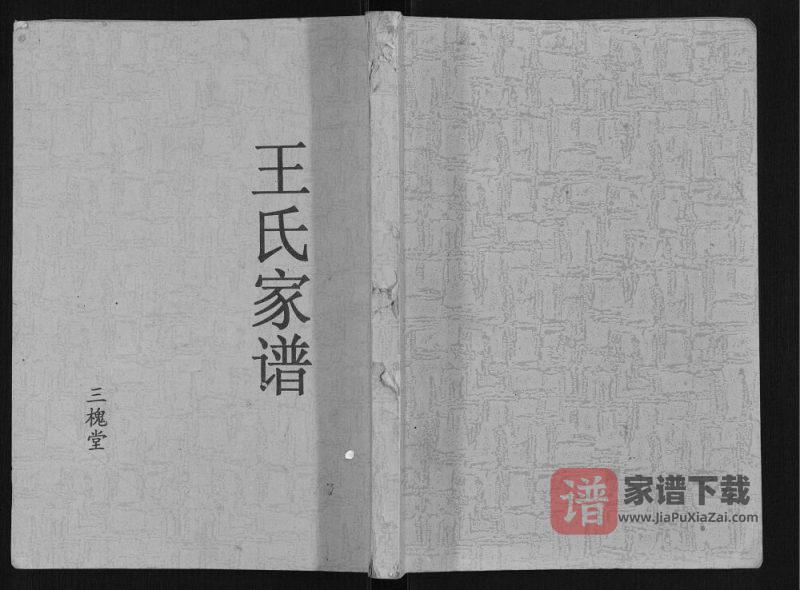江苏盐城阜宁王氏家谱（三槐堂）PDF高清电子版下载-家谱下载