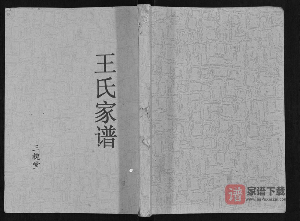 江苏盐城阜宁王氏家谱（三槐堂）PDF高清电子版下载