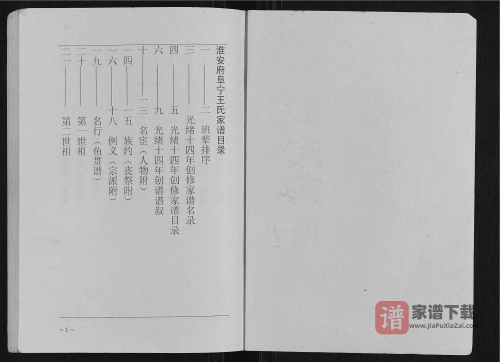 图片[2]-江苏盐城阜宁王氏家谱（三槐堂）PDF高清电子版下载-家谱下载