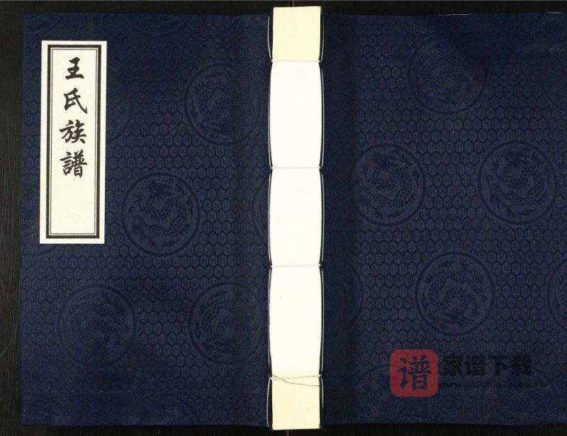 河北沧州盐山县唐家堡王常丰村王氏族谱PDF高清电子版下载-家谱下载