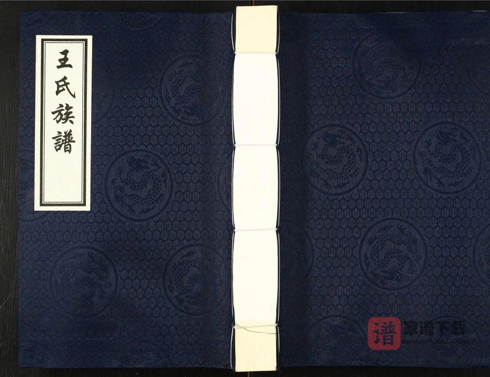 河北沧州盐山县唐家堡王常丰村王氏族谱PDF高清电子版下载