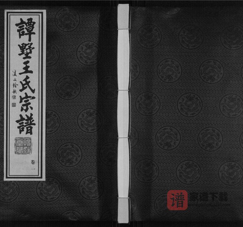 江苏常州武进区谭墅王氏宗谱（赐姓堂）PDF高清电子版下载-家谱下载