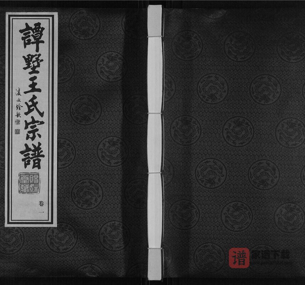 江苏常州武进区谭墅王氏宗谱（赐姓堂）PDF高清电子版下载
