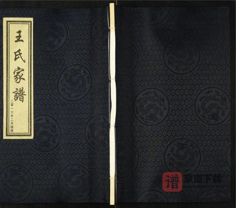 河北沧州献县王氏家谱PDF高清电子版下载-家谱下载