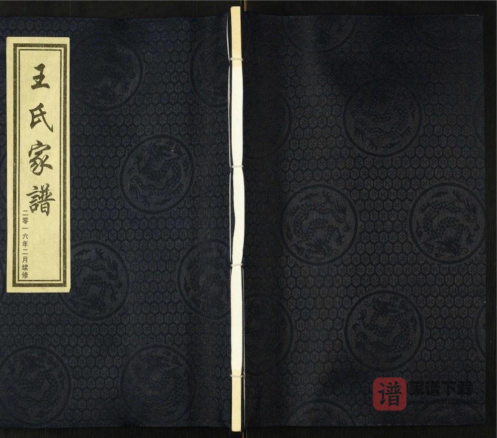 河北沧州献县王氏家谱PDF高清电子版下载