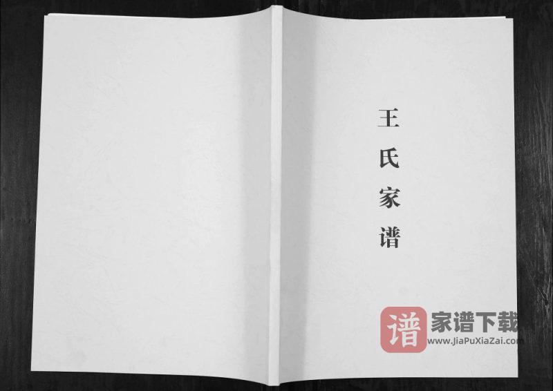 贵州毕节云南镇雄王氏族谱PDF高清电子版下载-家谱下载