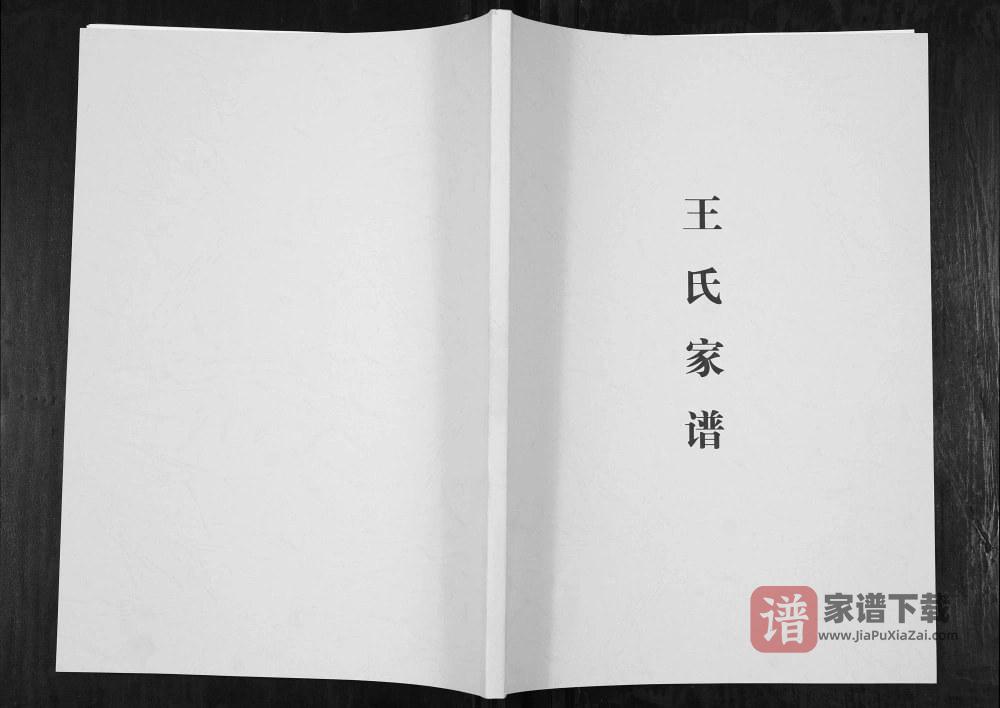 图片[1]-贵州毕节云南镇雄王氏族谱PDF高清电子版下载-家谱下载