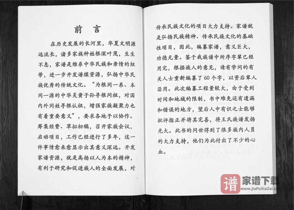 图片[2]-贵州毕节云南镇雄王氏族谱PDF高清电子版下载-家谱下载
