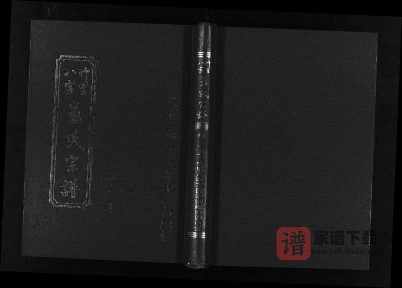 浙江东阳竹里八字王氏宗谱PDF高清电子版下载-家谱下载