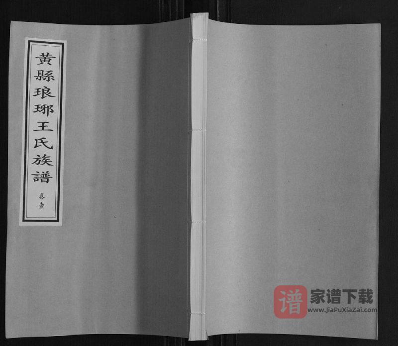 山东龙口黄县琅琊王氏族谱PDF高清电子版下载-家谱下载