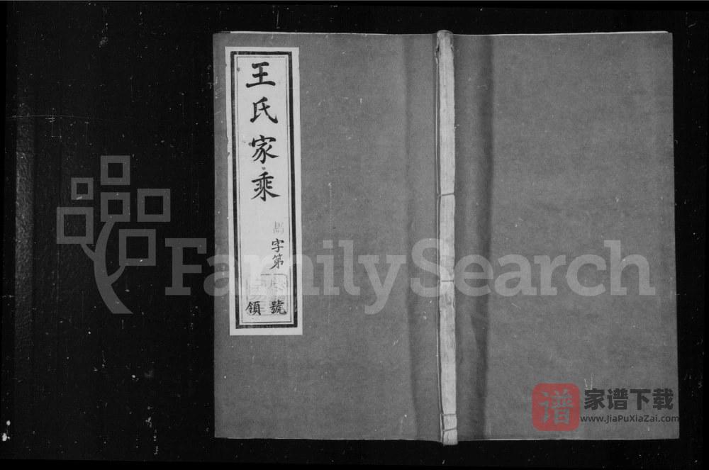 图片[1]-江苏常州武进区闸头王氏家乘（燕翼堂）PDF高清电子版下载-家谱下载