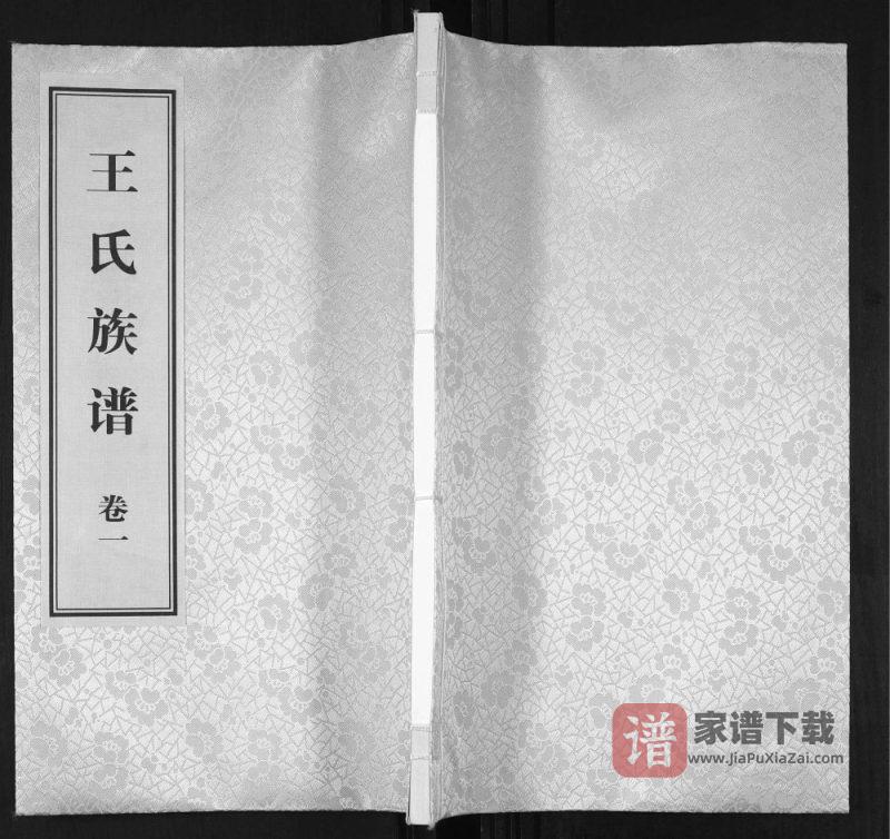 山东菏泽郓城县王氏族谱PDF高清电子版下载-家谱下载