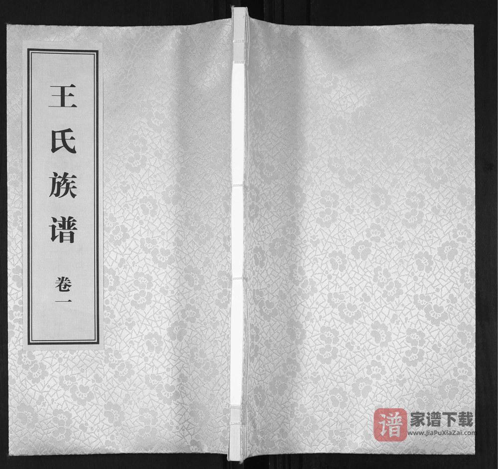 山东菏泽郓城县王氏族谱PDF高清电子版下载