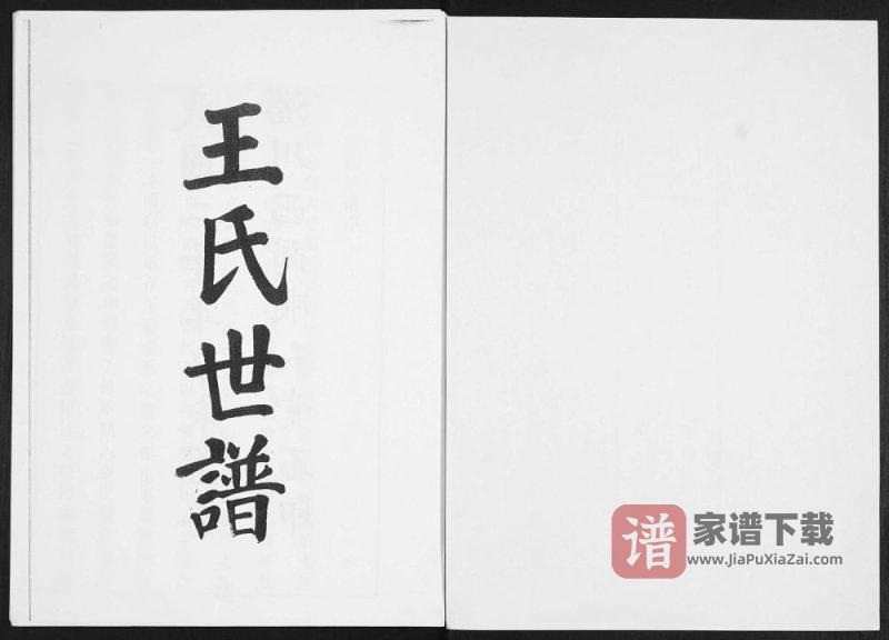 山东淄博淄川区王氏世谱PDF高清电子版下载-家谱下载