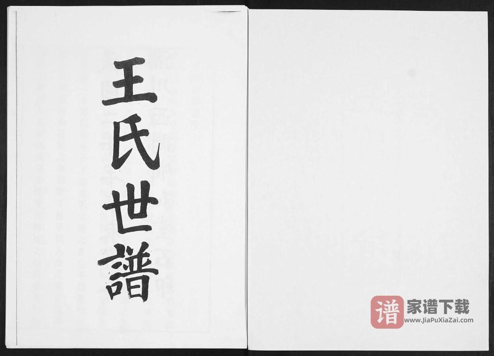 山东淄博淄川区王氏世谱PDF高清电子版下载