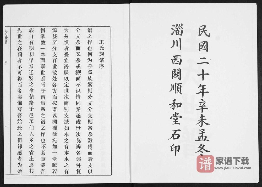 图片[2]-山东淄博淄川区王氏世谱PDF高清电子版下载-家谱下载