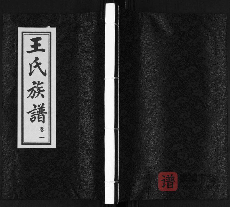 山东青岛城阳区王氏笃能公世系族谱PDF高清电子版下载-家谱下载