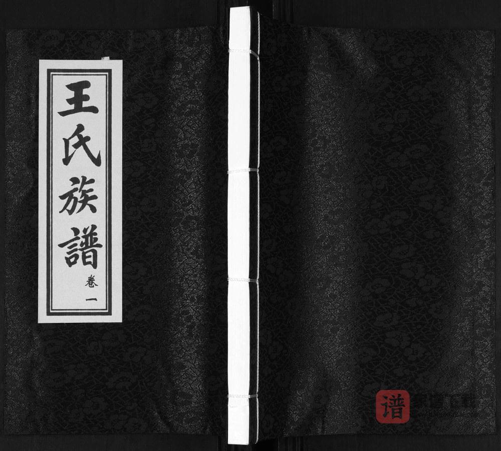 山东青岛城阳区王氏笃能公世系族谱PDF高清电子版下载