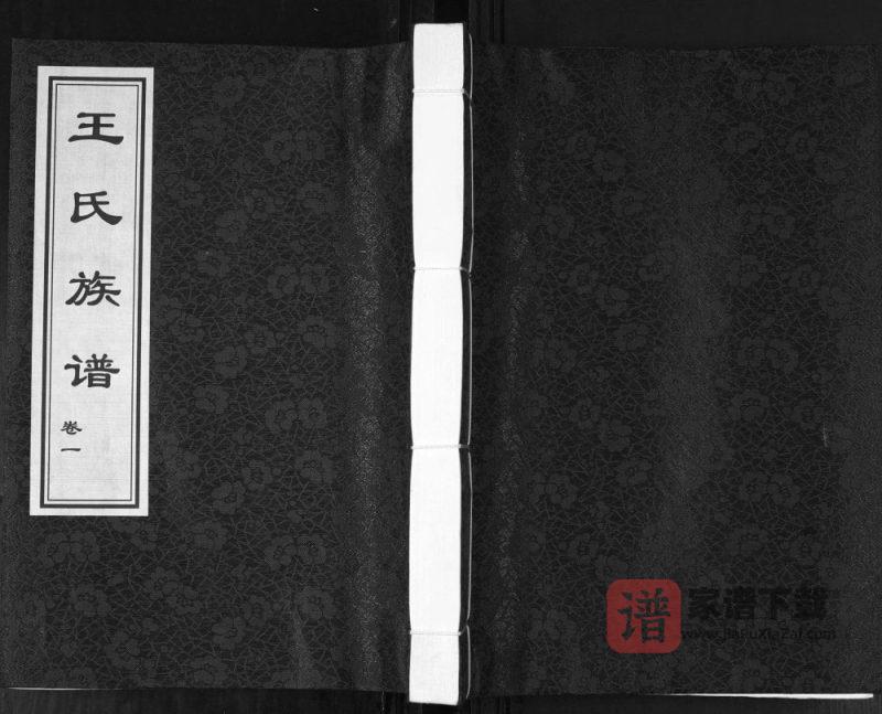 山东青岛城阳区狗塔埠王氏族谱PDF高清电子版下载-家谱下载