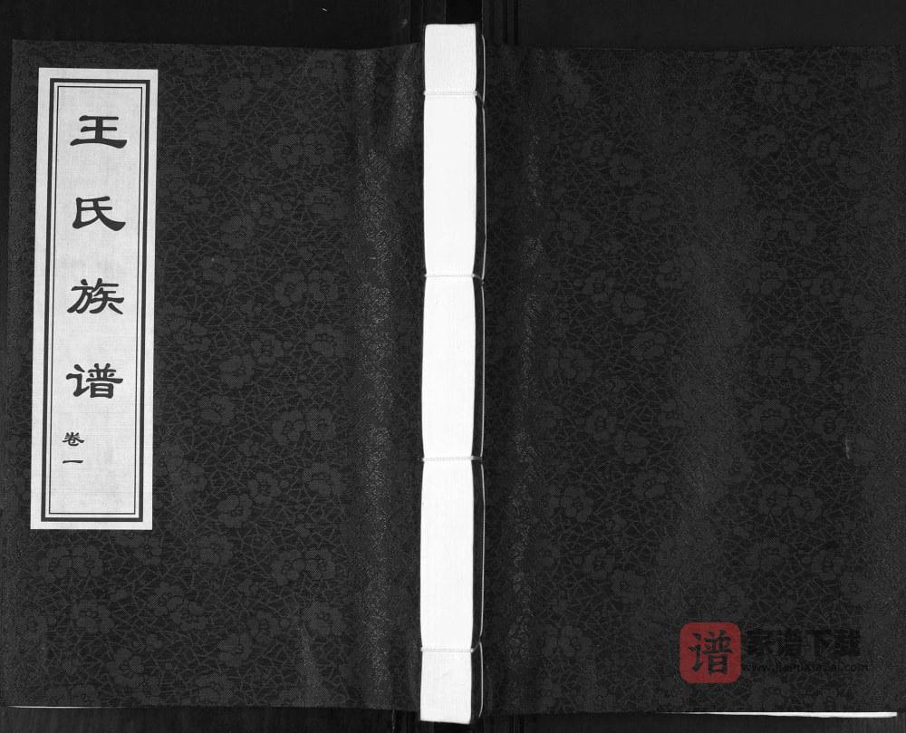 山东青岛城阳区狗塔埠王氏族谱PDF高清电子版下载