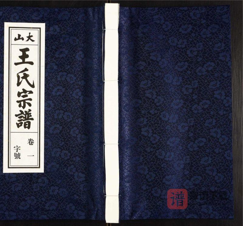 安徽桐城大山王氏宗谱(敦睦堂)PDF高清电子版下载-家谱下载