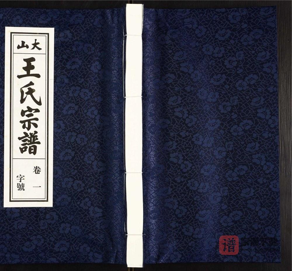 安徽桐城大山王氏宗谱（敦睦堂）PDF高清电子版下载