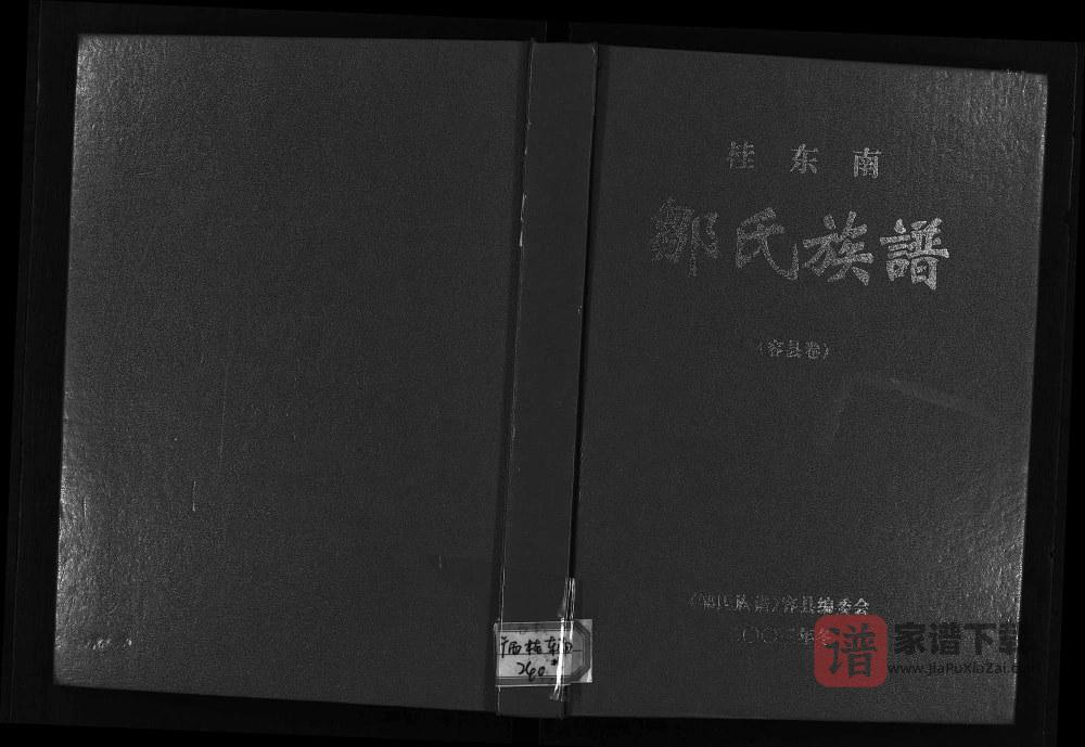 广西玉林容县桂东南邹氏族谱PDF高清电子版下载