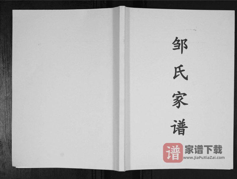 贵州六盘水盘县邹氏家谱PDF高清电子版下载-家谱下载