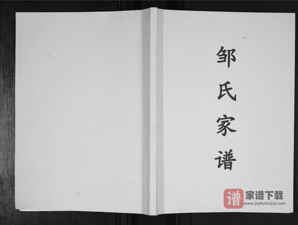 贵州六盘水盘县邹氏家谱PDF高清电子版下载