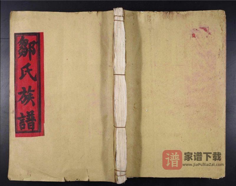 江西丰城邹氏族谱(敦睦堂)PDF高清电子版下载-家谱下载