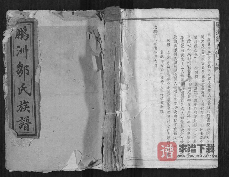 江西抚州乐安县鹏洲邹氏族谱PDF高清电子版下载-家谱下载