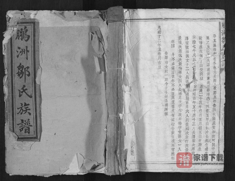 图片[1]-江西抚州乐安县鹏洲邹氏族谱PDF高清电子版下载-家谱下载