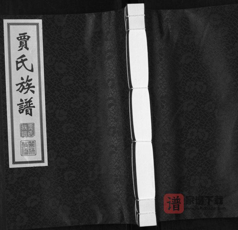 山东青岛城阳区贾氏族谱（同德堂）PDF高清电子版下载-家谱下载
