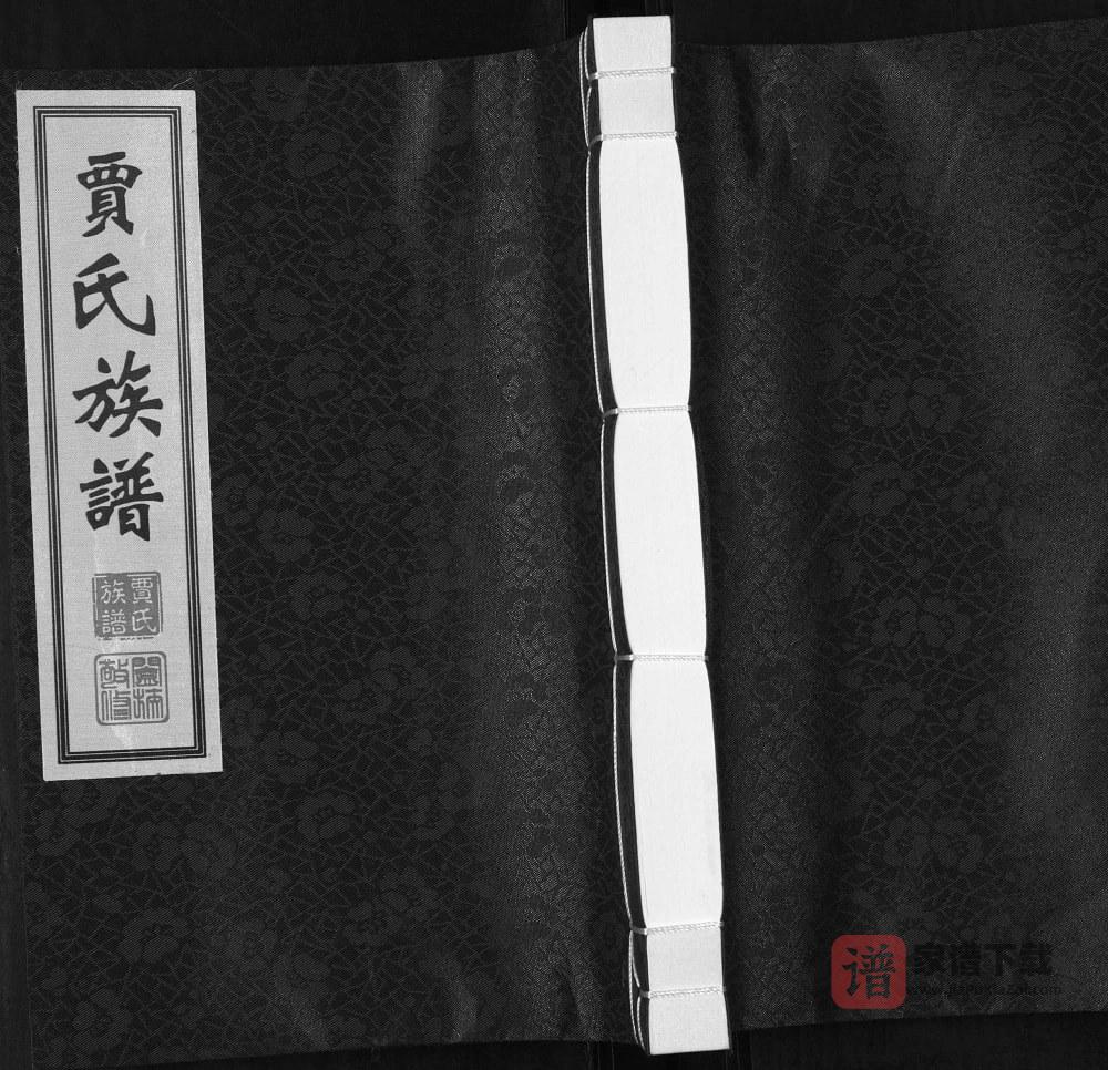 山东青岛城阳区贾氏族谱（同德堂）PDF高清电子版下载