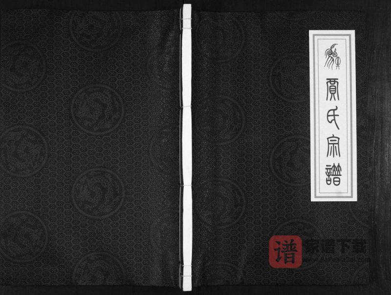 山东邹平贾氏宗谱PDF高清电子版下载-家谱下载