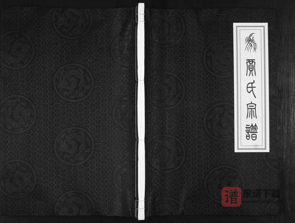 山东邹平贾氏宗谱PDF高清电子版下载