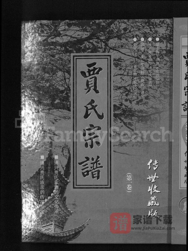 山东滨州博兴县贾氏宗谱PDF高清电子版下载-家谱下载