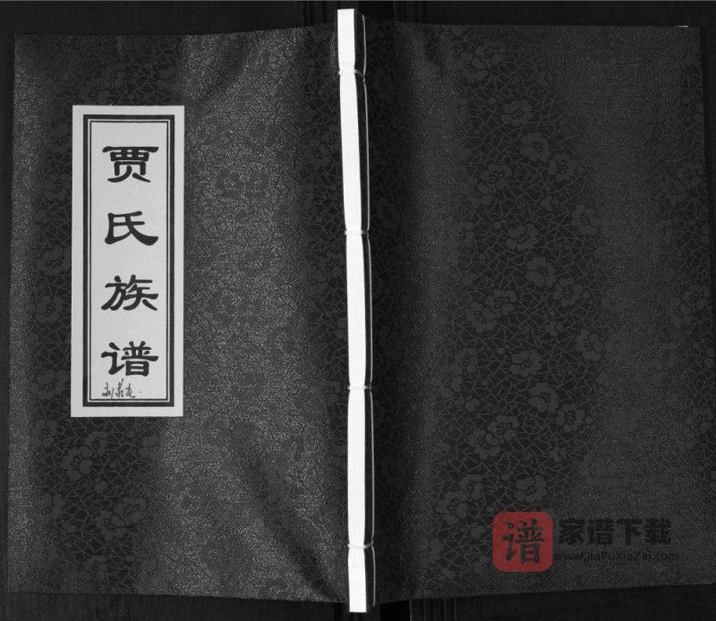 山东青岛即墨刘家庄贾氏族谱PDF高清电子版下载-家谱下载