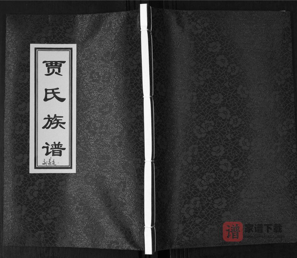 山东青岛即墨刘家庄贾氏族谱PDF高清电子版下载
