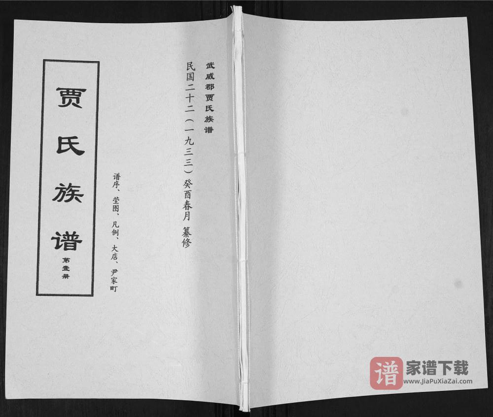 山东莱阳武威郡贾氏族谱PDF高清电子版下载