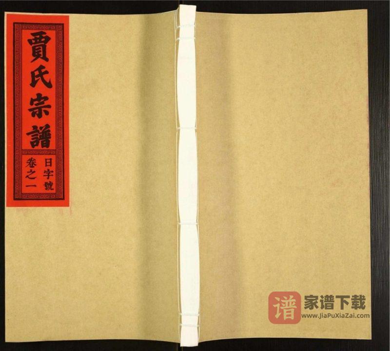 安徽六安霍邱贾氏宗谱(衍庆堂)PDF高清电子版下载-家谱下载