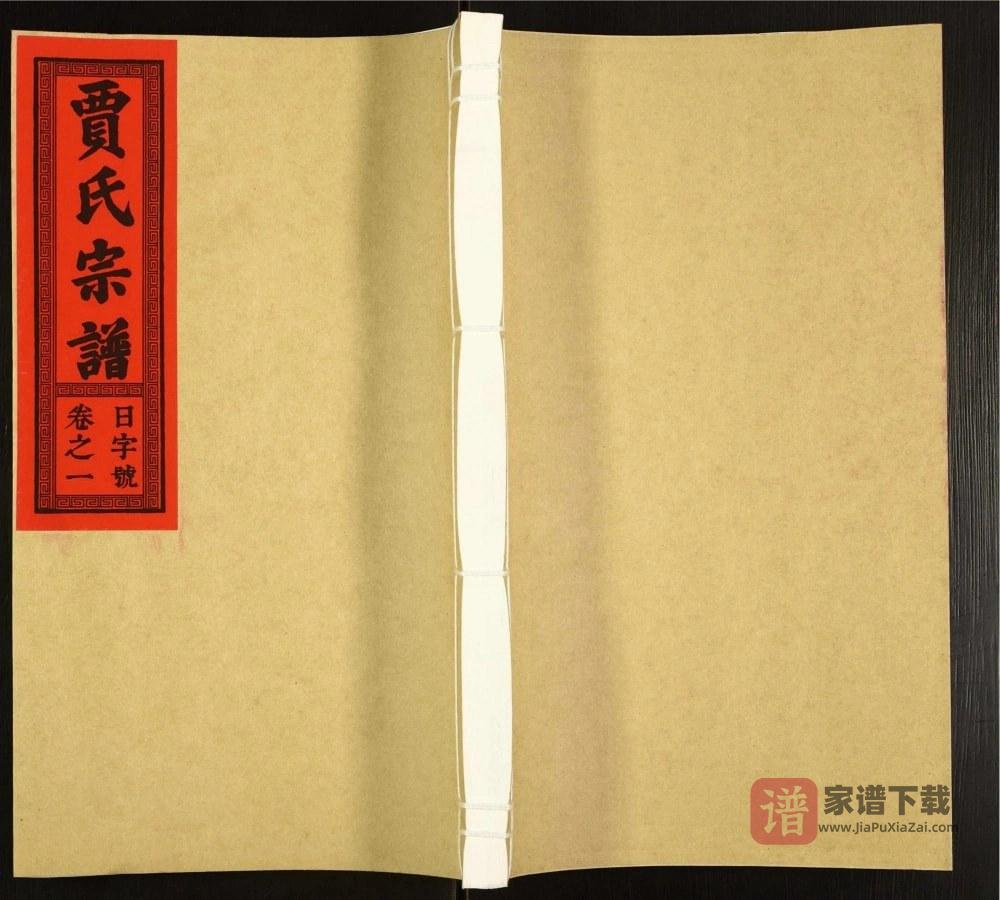安徽六安霍邱贾氏宗谱（衍庆堂）PDF高清电子版下载