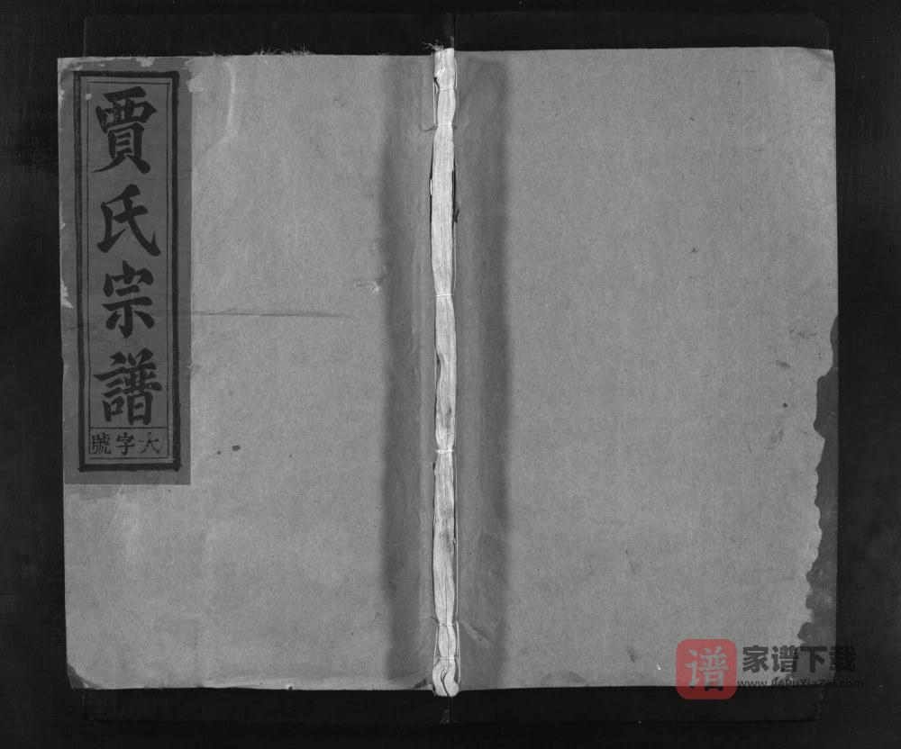 图片[1]-安徽安庆怀宁贾氏宗谱（治安堂）PDF高清电子版下载-家谱下载