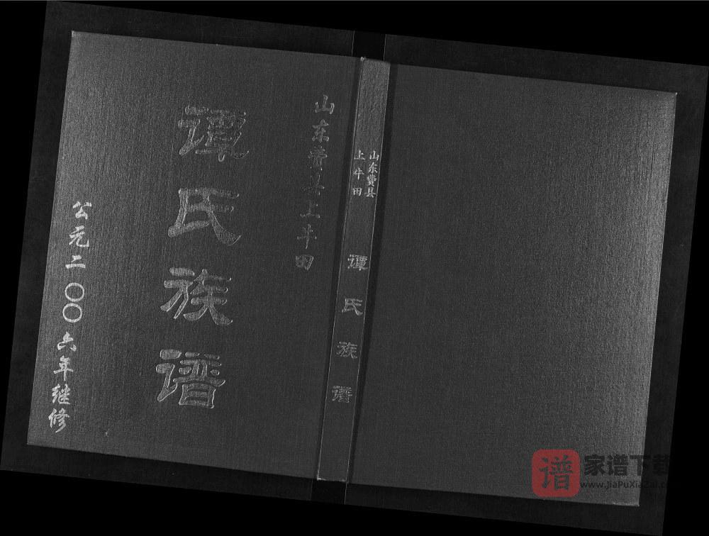 山东临沂费县谭氏族谱PDF高清电子版下载