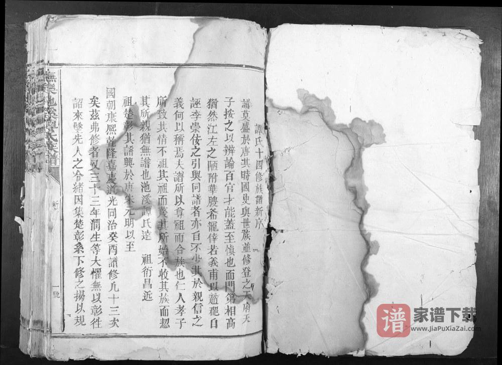 江西抚州乐安县抚乐池溪谭氏族谱PDF高清电子版下载