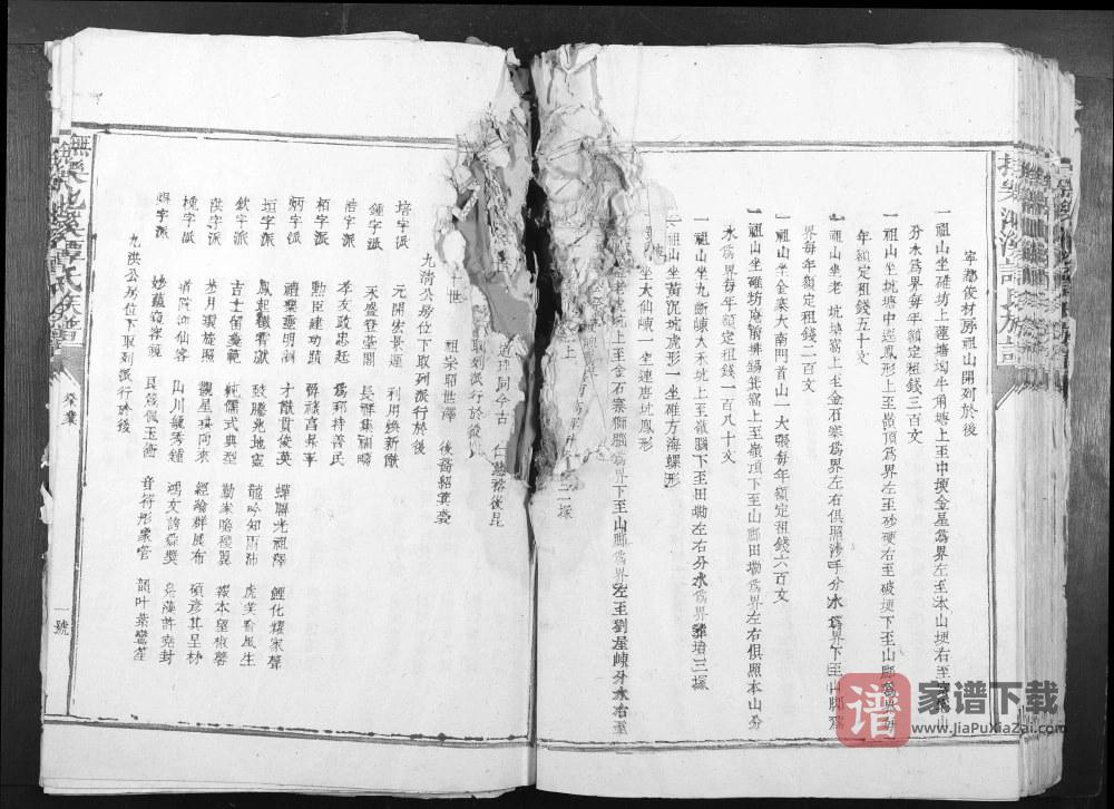 图片[2]-江西抚州乐安县抚乐池溪谭氏族谱PDF高清电子版下载-家谱下载
